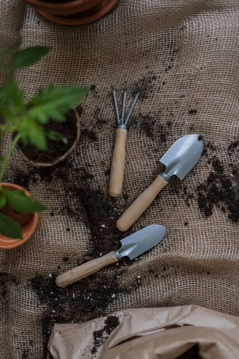Garden tools to help avoid back pain